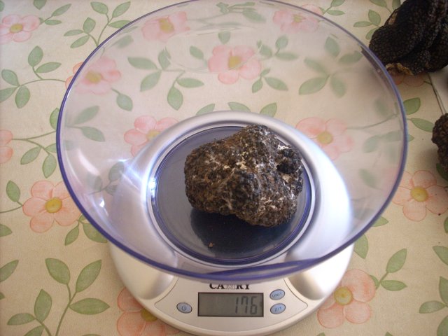 pesature 2011 6